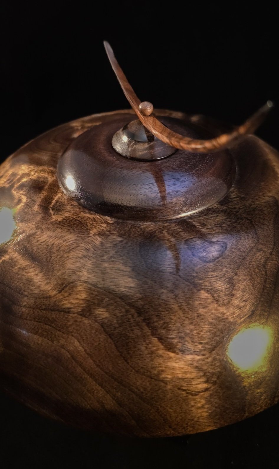 Paper Birch & Walnut Hollow Vessel - Image 4