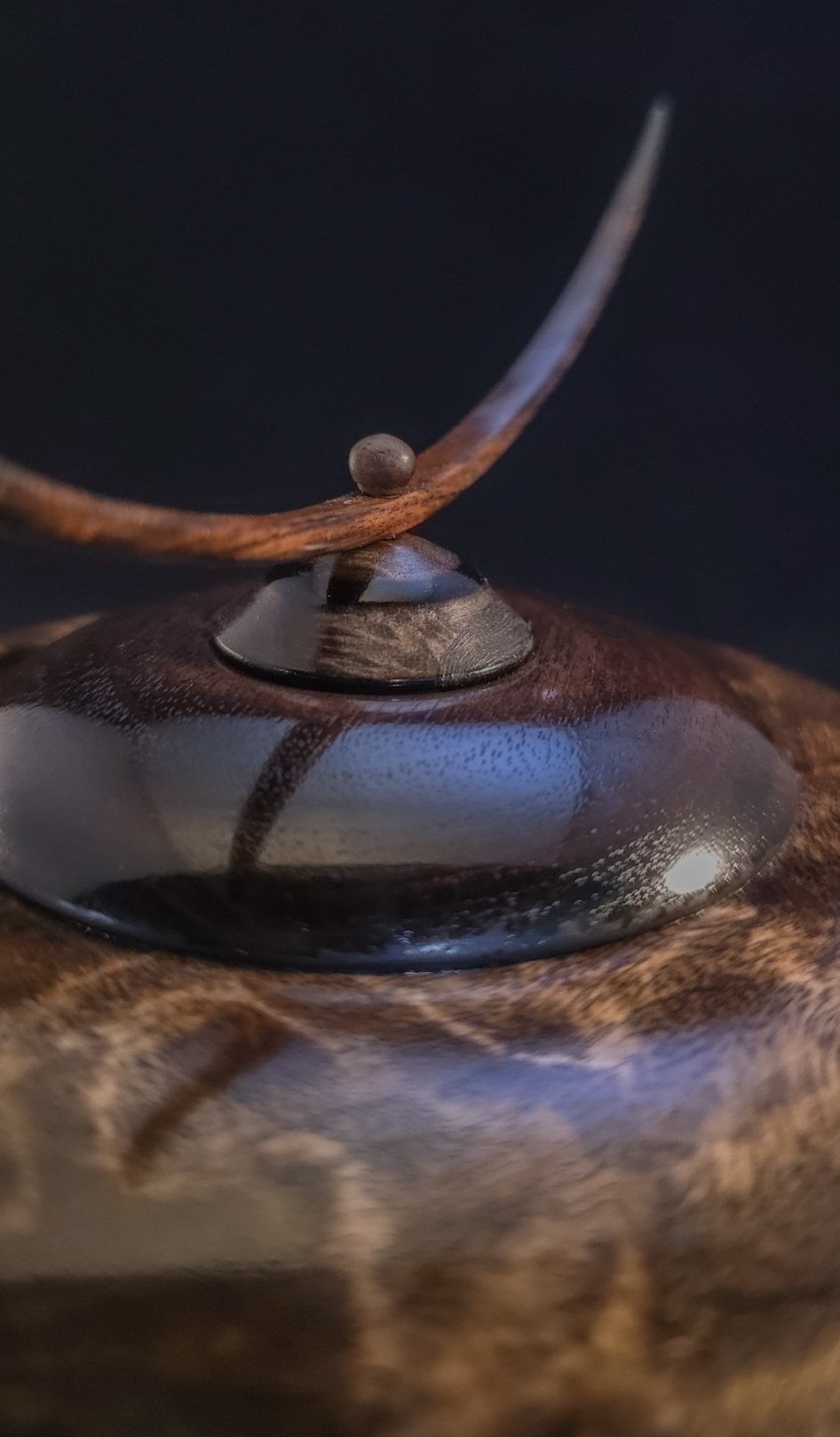 Paper Birch & Walnut Hollow Vessel - Image 9